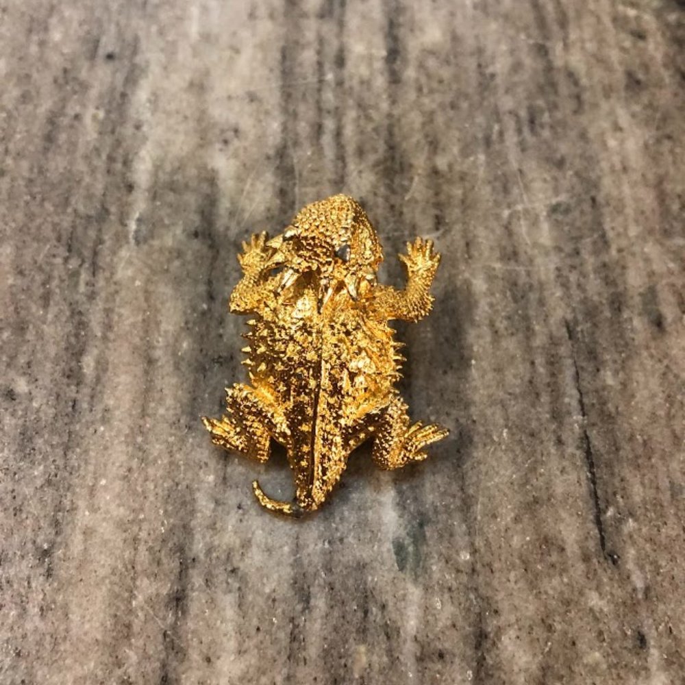 Vintage Horned Toad Hat Pin